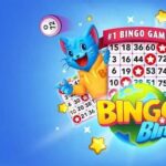 Bingo Blitz: Como Conseguir Créditos Grátis e Jogar mais!